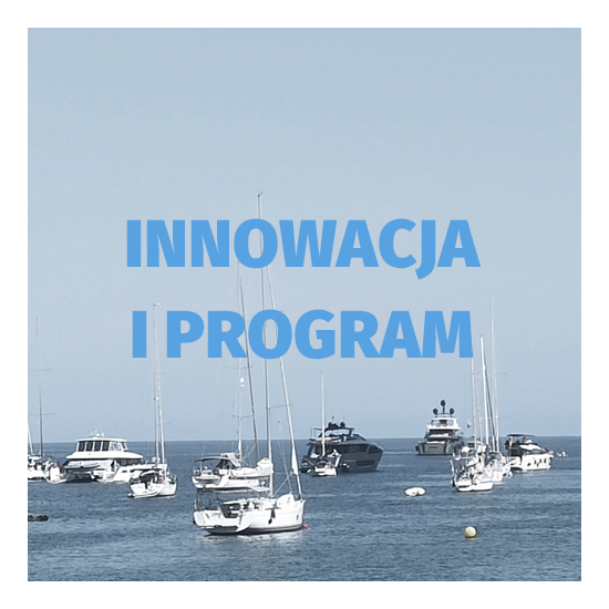 IN1 Beata Rechnio-Kołodziej INNOWACJA I PROGRAM WŁASNY